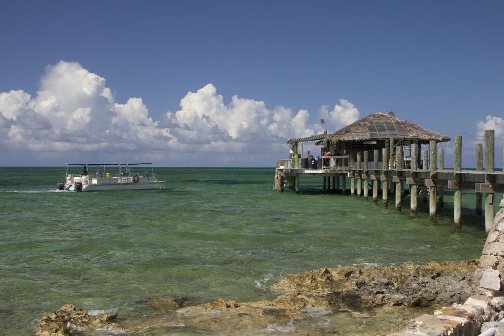 Small Hope Bay Lodge Andros Town Esterno foto