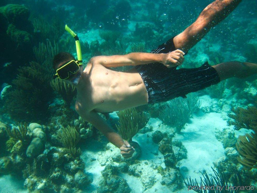 Small Hope Bay Lodge Andros Town Esterno foto