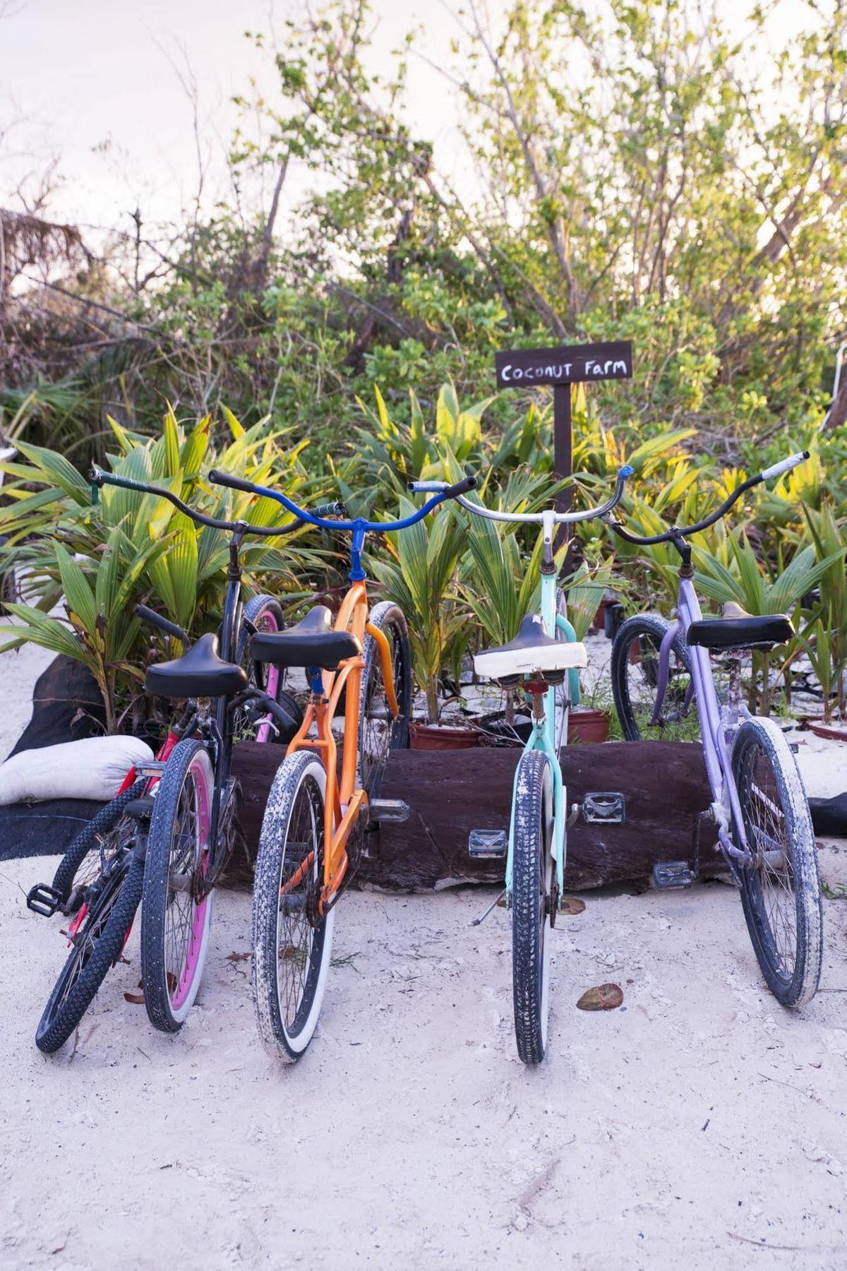 Small Hope Bay Lodge Andros Town Esterno foto