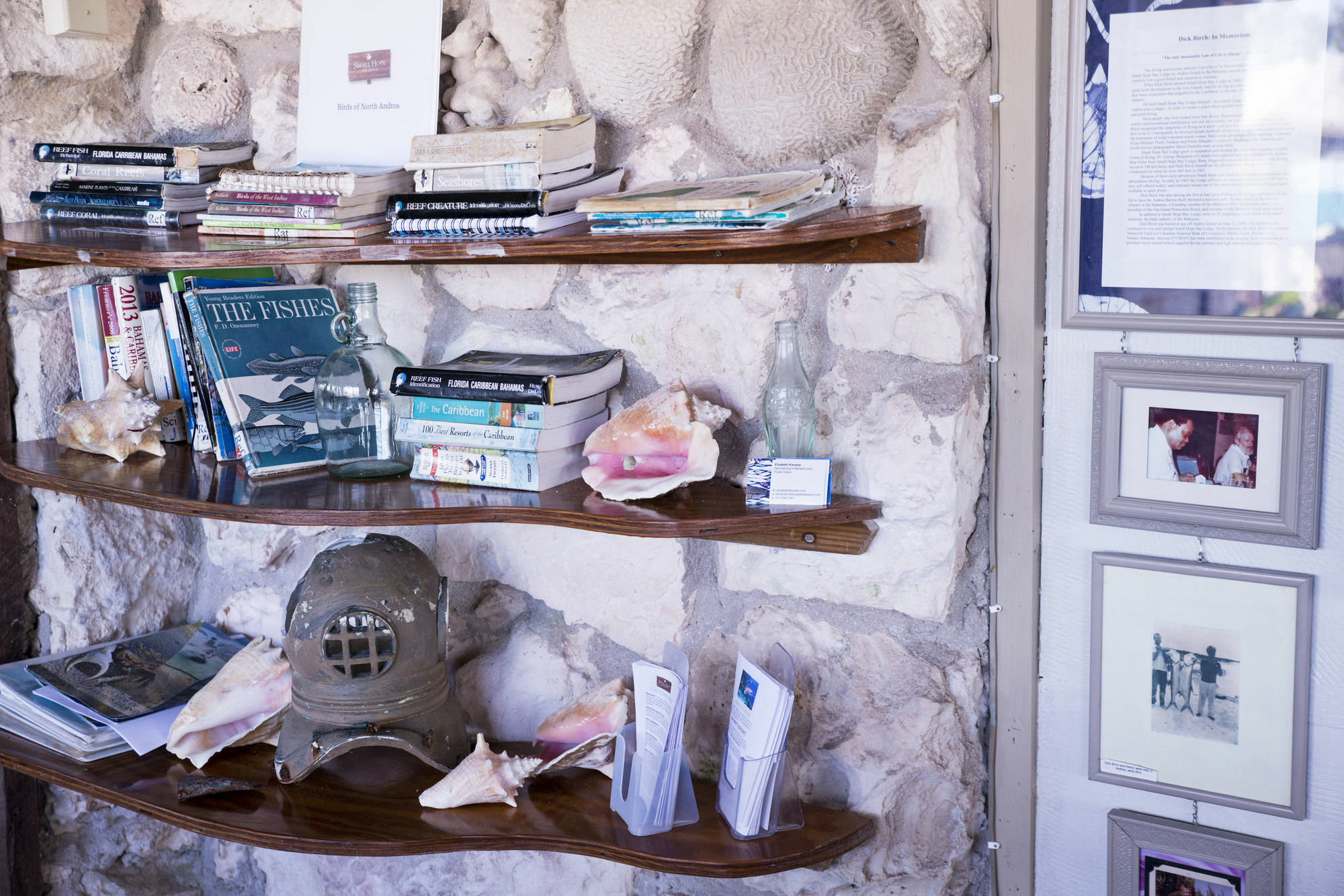 Small Hope Bay Lodge Andros Town Esterno foto